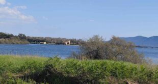 lago paola sabaudia