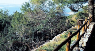 sentiero torre fico la batteria parco del circeo