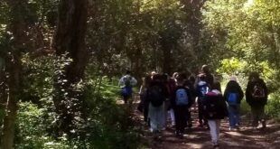 Escursioni parco circeo sabaudia